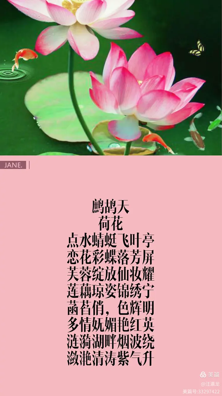 龙语词韵鹧鸪天《荷花》(五首原创)